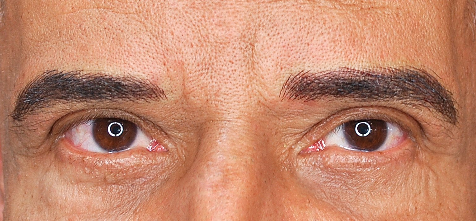 Sourcils plus denses homme The Color Studio